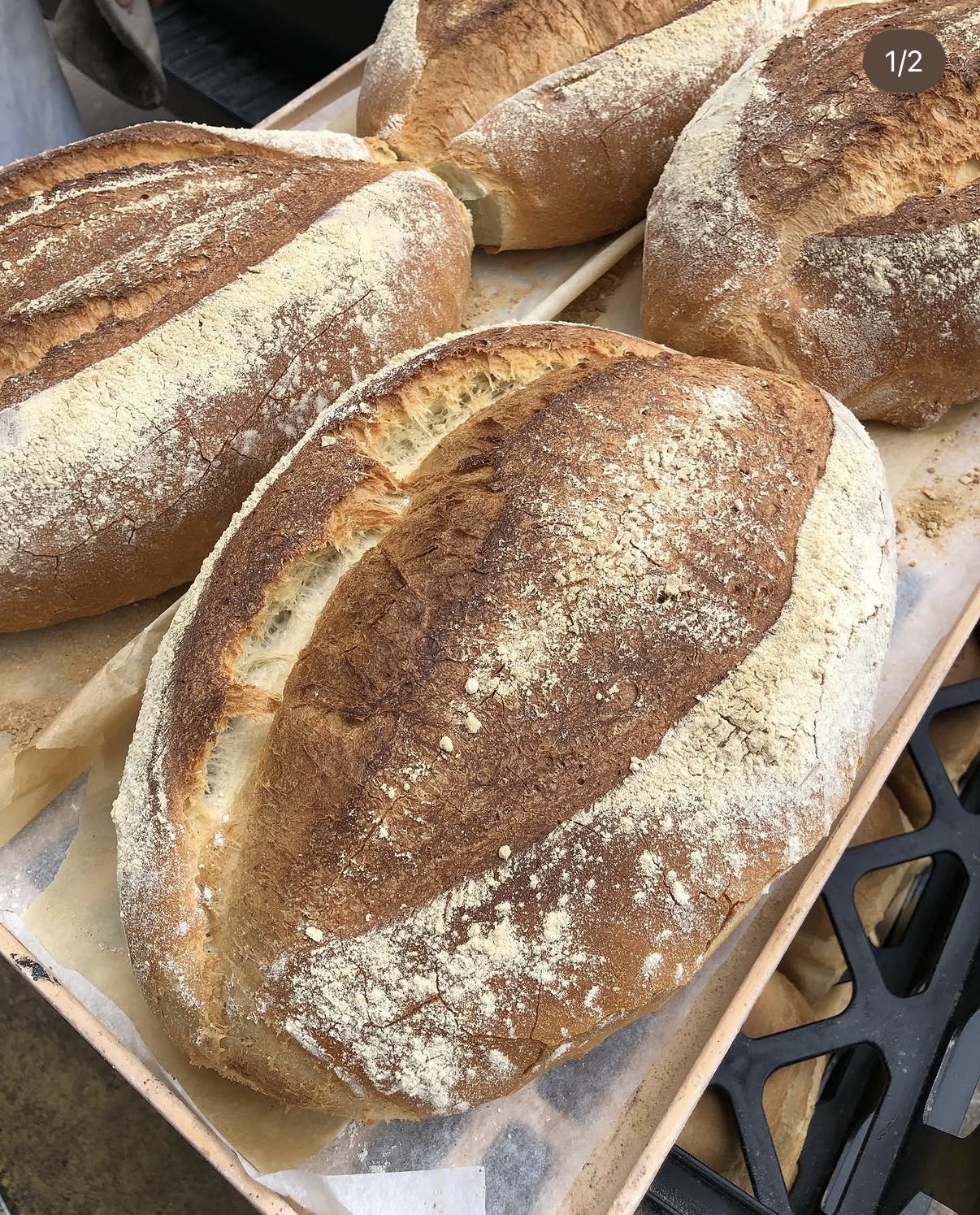 Golden flour-dusted loaves freshly baked at The Bakery