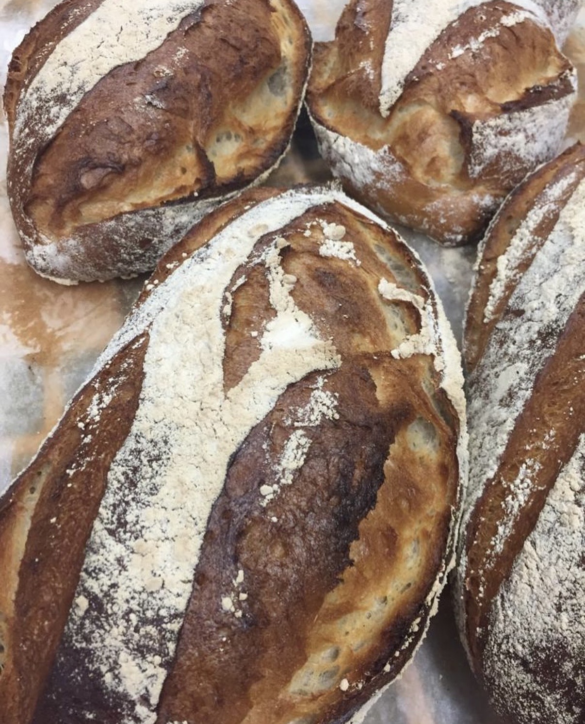A selection of crusty flour-dusted bakery loaves
